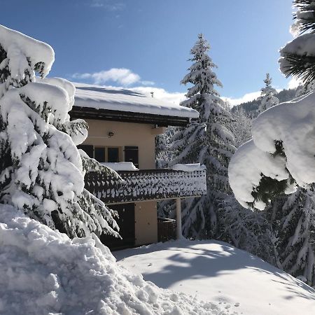 Chalet Les Trolles Ле-Же Екстер'єр фото