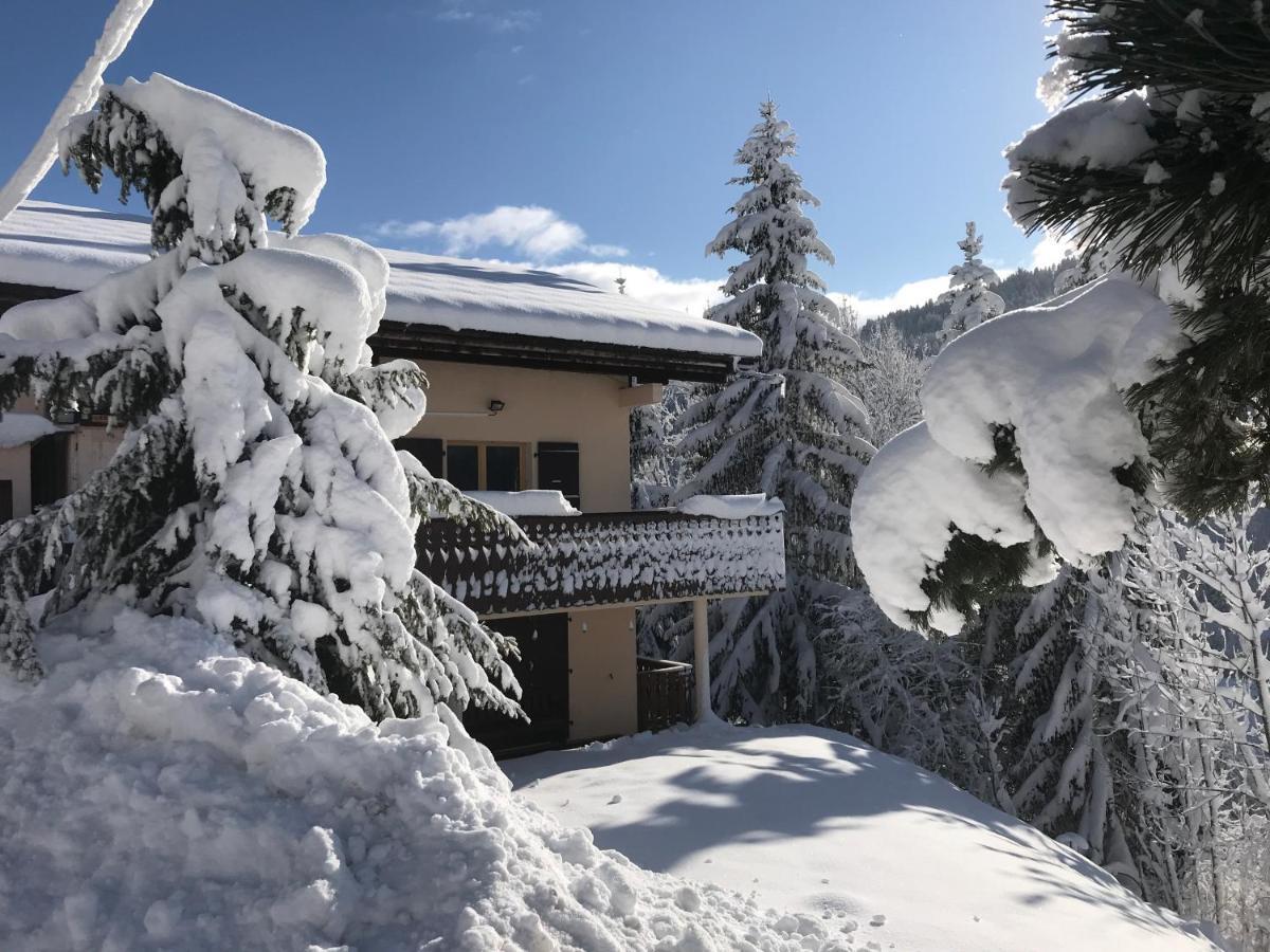 Chalet Les Trolles Ле-Же Екстер'єр фото