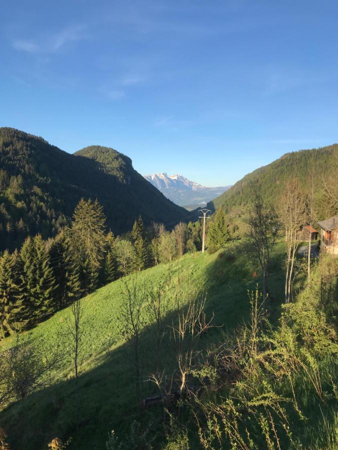 Chalet Les Trolles Ле-Же Екстер'єр фото